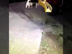 Pabrik kustomisasi merek baru mini excavator hidraulik genggaman ember untuk dijual