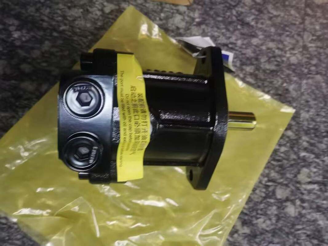 Kondisi baru Sany Hydraulic Fan Motor Pump 60248398 14531612 Gear Pumps SY650 SY700 SY750 SY500 SY460 SY485 SY550 SY375